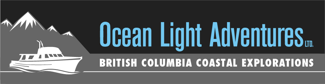 Ocean Light Adventures Logo